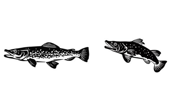 Download River Pike Fish Illustration - Premium Resources