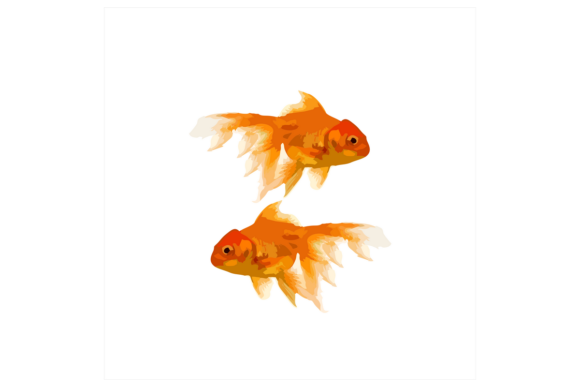 Download Koi Golden Fish Illustration - Fish illustration Collection